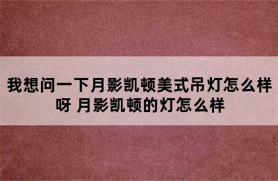 我想问一下月影凯顿美式吊灯怎么样呀 月影凯顿的灯怎么样